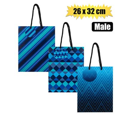 GIFT-BAG PAPER LRG 26x32cm EVERY MALE product image