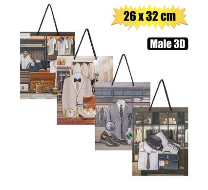 GIFT-BAG PAPER LRG 26x32cm MALE 3D product image