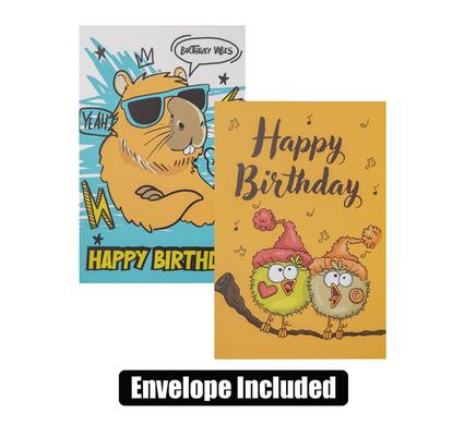 CARD & ENVELOPE BIRTHDAY - FUNNY (2) product image