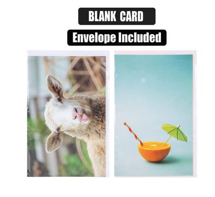 CARD & ENVELOPE BLANKS product image