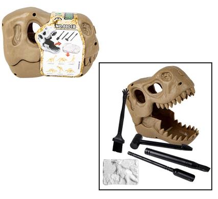 EDU EXCAVATION DINOSAUR FOSSIL IN SKULL product image